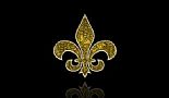 Click to view album. - Screenshots of the New Orleans Saints/Fleur de Lis theme I created for my iPhone.