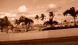 Cayman Islands -  August, September 2010 - Click to view photo 19 of 90. Graveyard - Grand Cayman