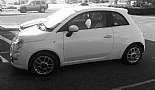A Month in Paradise - Cayman Islands - August 2011 - Click to view photo 9 of 274. Fiat 500