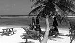 A Month in Paradise - Cayman Islands - August 2011 - Click to view photo 49 of 274. East End