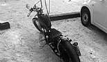 A Month in Paradise - Cayman Islands - August 2011 - Click to view photo 52 of 274. Bobber at Rum Point