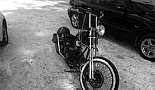 A Month in Paradise - Cayman Islands - August 2011 - Click to view photo 54 of 274. Bobber at Rum Point
