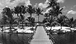 A Month in Paradise - Cayman Islands - August 2011 - Click to view photo 57 of 274. Camana Bay