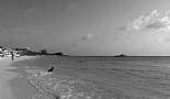 A Month in Paradise - Cayman Islands - August 2011 - Click to view photo 103 of 274. 