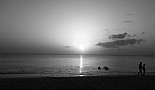A Month in Paradise - Cayman Islands - August 2011 - Click to view photo 110 of 274. 