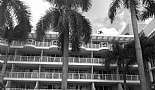 A Month in Paradise - Cayman Islands - August 2011 - Click to view photo 134 of 274. Beach Suites, Seven Mile Beach