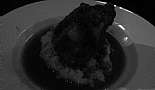 A Month in Paradise - Cayman Islands - August 2011 - Click to view photo 177 of 274. Ox Tail - Morgans Harbor