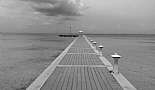 A Month in Paradise - Cayman Islands - August 2011 - Click to view photo 182 of 274. Rum Point