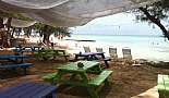 A Month in Paradise - Cayman Islands - August 2011 - Click to view photo 186 of 274. Rum Point