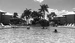 A Month in Paradise - Cayman Islands - August 2011 - Click to view photo 202 of 274. Billy Bones Pool Bar