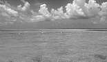 A Month in Paradise - Cayman Islands - August 2011 - Click to view photo 232 of 274. Rum Point