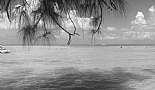 A Month in Paradise - Cayman Islands - August 2011 - Click to view photo 234 of 274. Rum Point