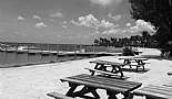 A Month in Paradise - Cayman Islands - August 2011 - Click to view photo 238 of 274. Kaibo