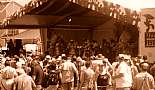 New Orleans & Nearby - Click to view photo 56 of 153. 