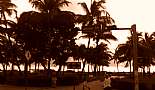 South Beach & NCL Pearl - East Caribbean Cruise - November 2010 - Click to view photo 19 of 147. Ocean Drive, South Beach