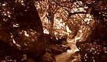 South Beach & NCL Pearl - East Caribbean Cruise - November 2010 - Click to view photo 97 of 147. Path to the Baths, Virgn Gorda, British Virgin Islands