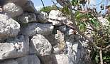 Cozumel, Playa del Carmen and Tulum, Mexico - February 2008 - Click to view photo 105 of 181. 