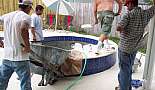 Pool and Spa Build - May, June, July, August 2006 - Click to view photo 237 of 269. 