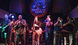 Bucktown All Stars - Howlin' Wolf Northshore - January 2010 - Click to view photo 4 of 9. 