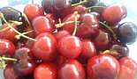 Food and Drink - Click to view photo 92 of 224. Cherries