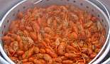 Food and Drink - Click to view photo 71 of 224. Annual Easter Crawfish Boil - Hot Boiled Crawfish :)