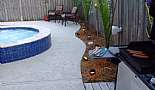 Pool, Patio & Garden - Click to view photo 11 of 111. 