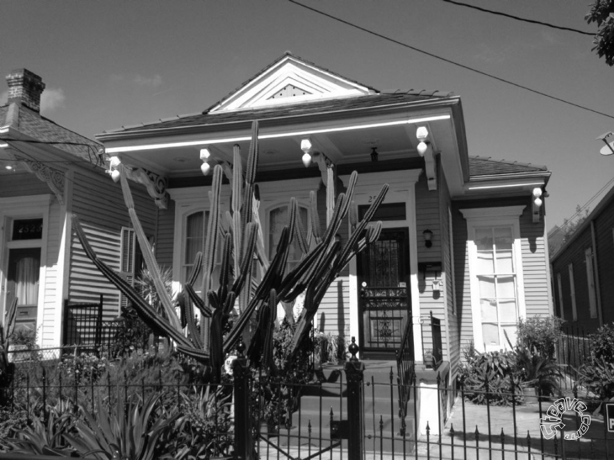 Parasol's Annual Block Party - New Orleans, LA - March 2012