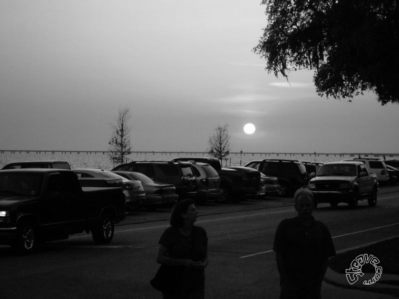 Bike Days & Nights - 2010