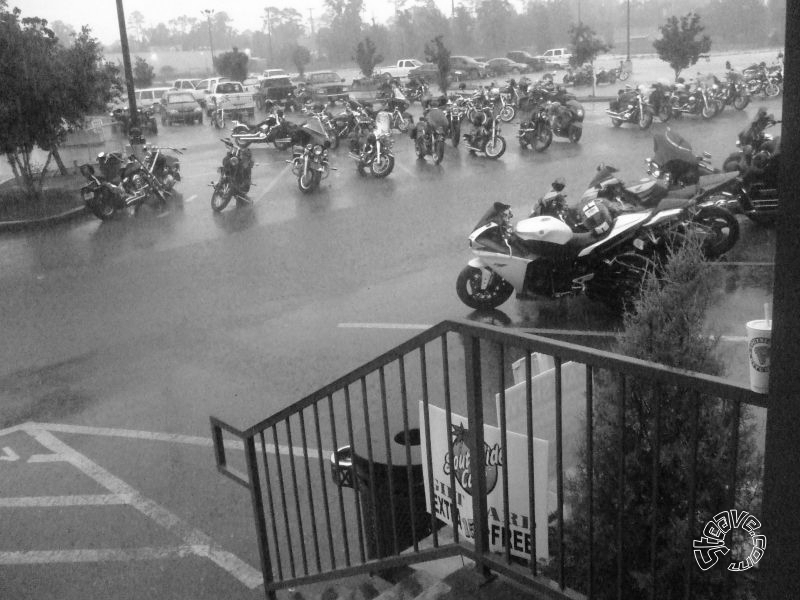 Bike Days & Nights - 2010