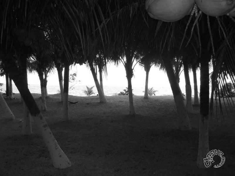Cozumel, Playa del Carmen and Tulum, Mexico - February 2008