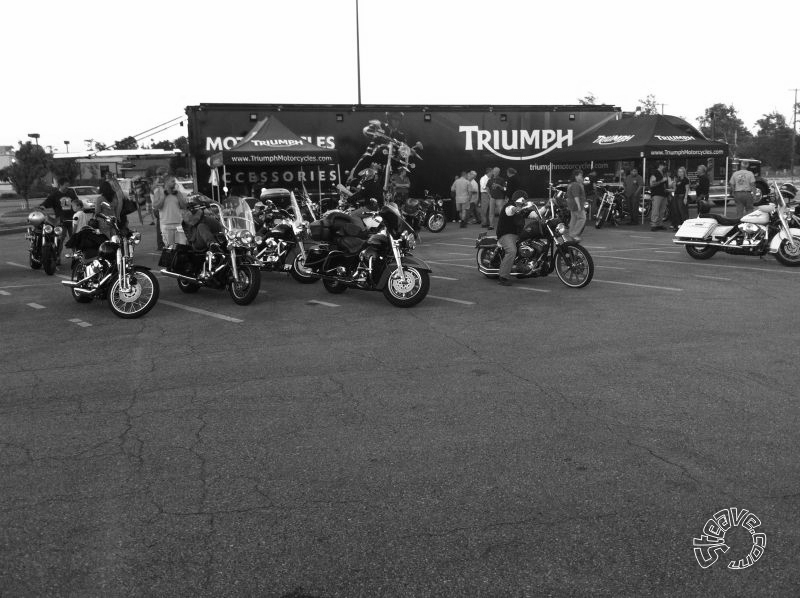 Bike Days & Nights - 2010