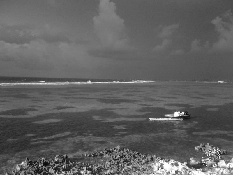 Caribbean Christmas - Cayman Islands - December 2009