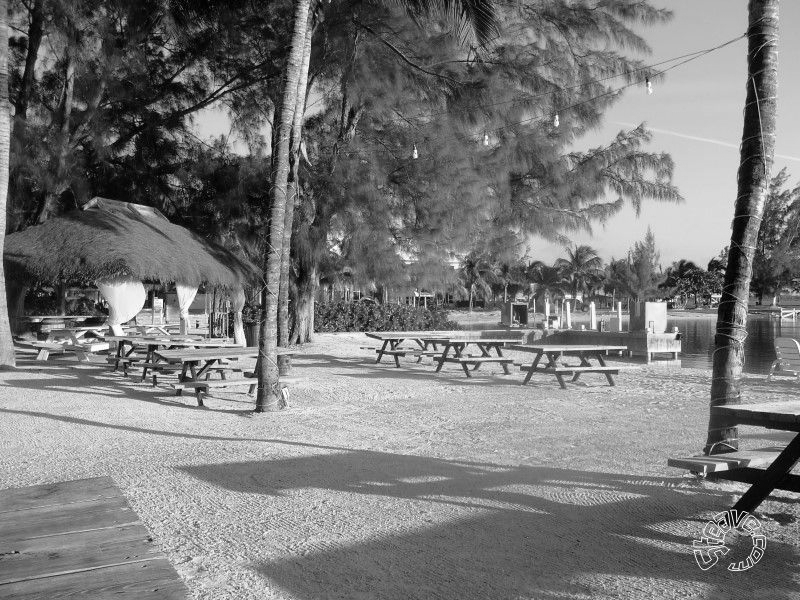Caribbean Christmas - Cayman Islands - December 2009