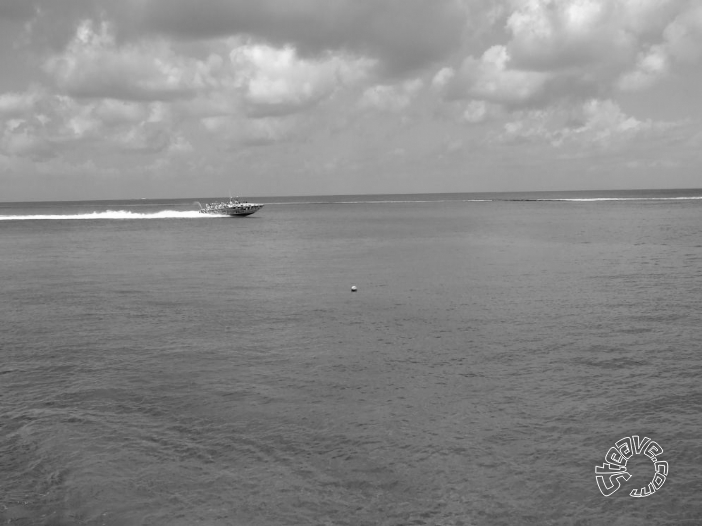Cozumel & Playa del Carmen - July 2011