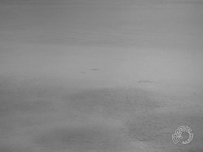 Cozumel & Playa del Carmen - July 2011