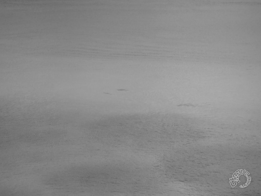 Cozumel & Playa del Carmen - July 2011