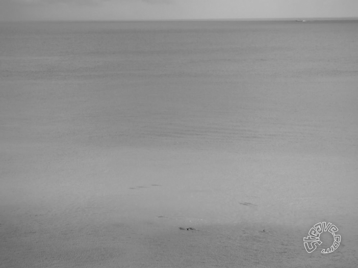 Cozumel & Playa del Carmen - July 2011