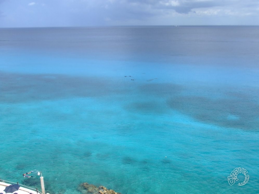 Cozumel & Playa del Carmen - July 2011