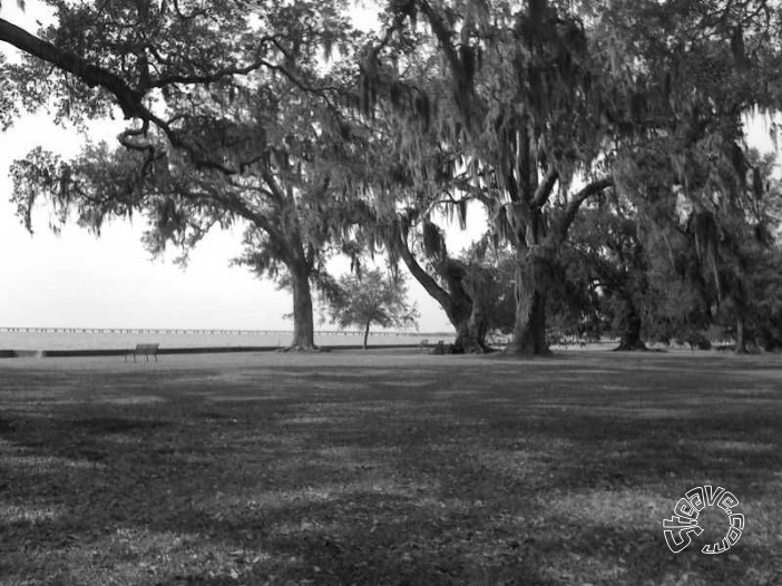 New Orleans & Nearby