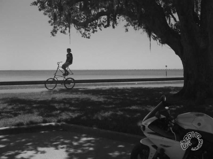 New Orleans & Nearby