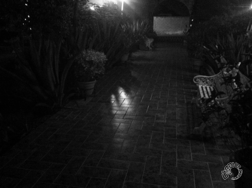 Cozumel & Playa del Carmen - July 2011