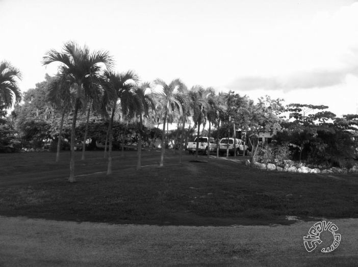 A Month in Paradise - Cayman Islands - August 2011