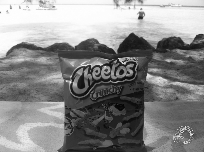 A Month in Paradise - Cayman Islands - August 2011