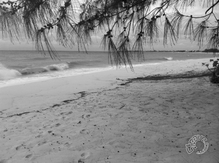Grand Cayman - October 2011