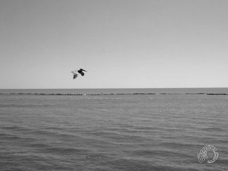 Smokin' The Sound - Biloxi, MS - March 2009