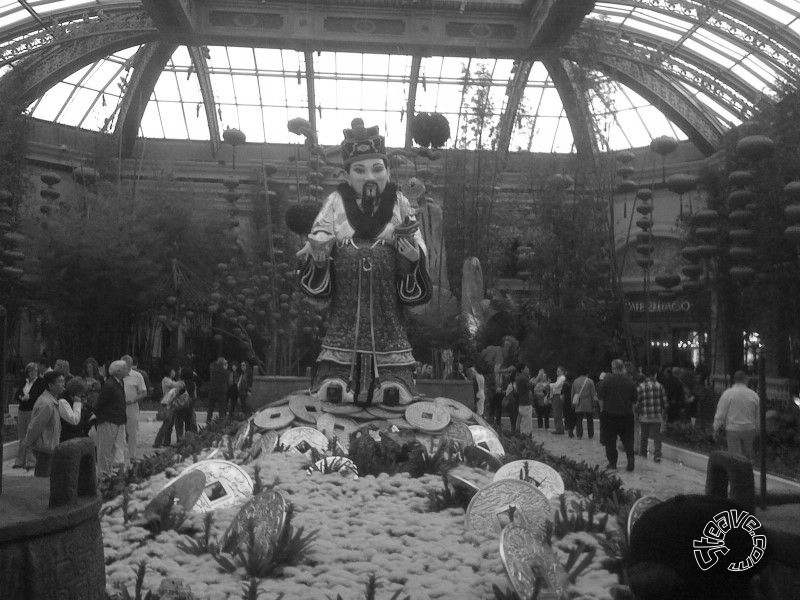 Las Vegas - January 2010
