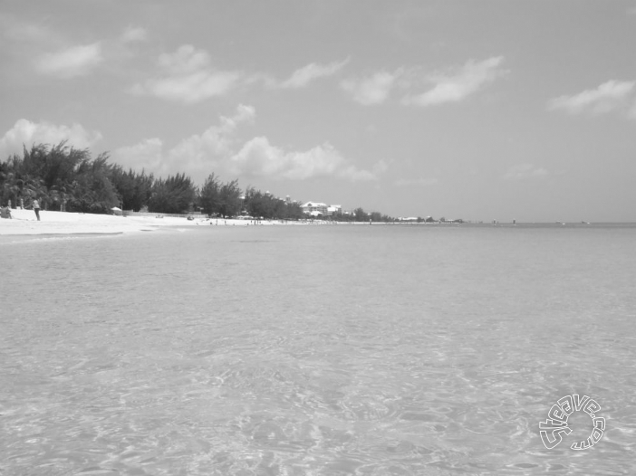 A Month in Paradise - Cayman Islands - August 2011