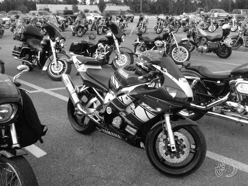 Bike Days & Nights - 2009