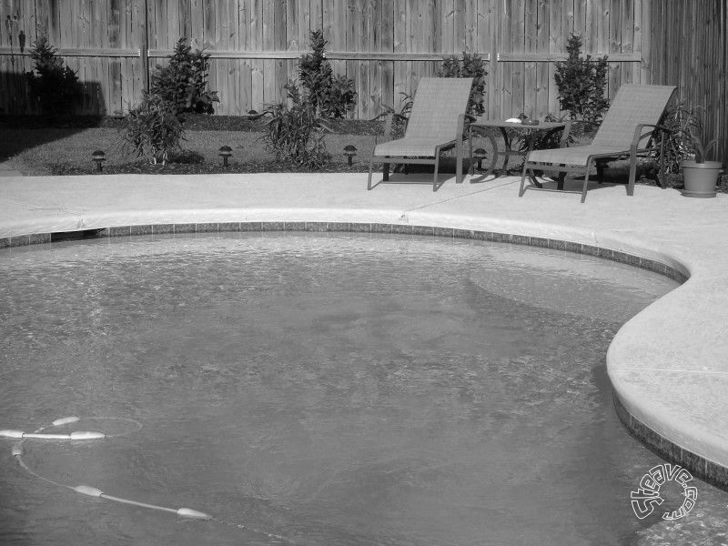 Pool, Patio & Garden