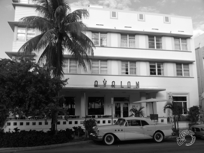 South Beach & NCL Pearl - East Caribbean Cruise - November 2010